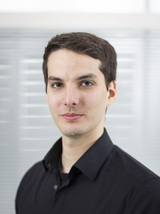 This image shows Steinle, Tobias